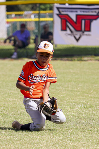 Baseball Photos